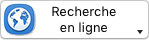 Bouton Recherche Web